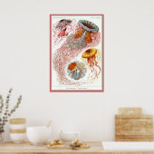 Ernst Haeckel - Kuntsformen der Natuur - Tafel 8 Poster (Keuken)