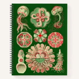 Ernst Haeckel kwal Illustratie Notitieboek