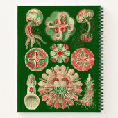 Ernst Haeckel  kwal Illustratie Notitieboek (Achterkant)