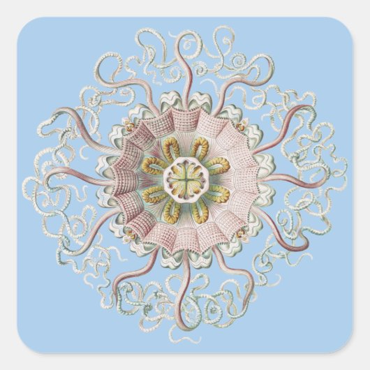 Ernst Haeckel  kwal Marine Life Vierkante Sticker (Voorkant)