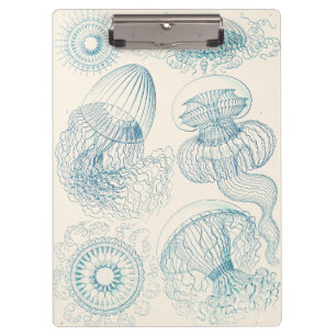 Ernst Haeckel Kwallen Vintage Wetenschapskunst Klembord