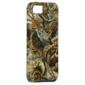 Ernst Haeckel - Lacertilia Case-Mate iPhone Case (Back/Rechts)