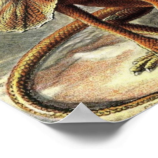 Ernst Haeckel - Lacertilia Lizards Poster (Hoek)
