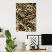 Ernst Haeckel - Lacertilia Lizards Poster (Thuiskantoor)