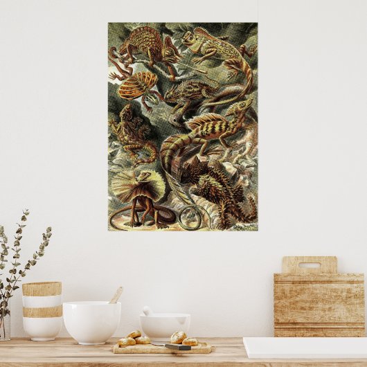 Ernst Haeckel - Lacertilia Lizards Poster (Keuken)