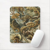 Ernst Haeckel - Lacertilia Muismat (Met muis)