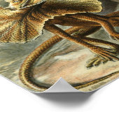 Ernst Haeckel - Lacertilia Poster (Hoek)