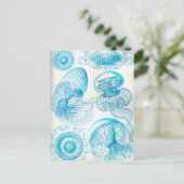 Ernst Haeckel Leptomedusae kwal Briefkaart (Staand voorkant)