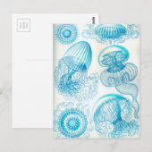 Ernst Haeckel Leptomedusae kwal Briefkaart (Voorkant / Achterkant)