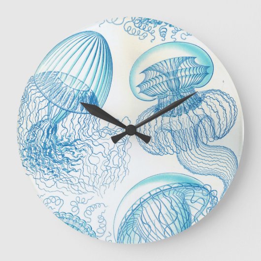 Ernst Haeckel Leptomedusae kwal Grote Klok (Voorkant)