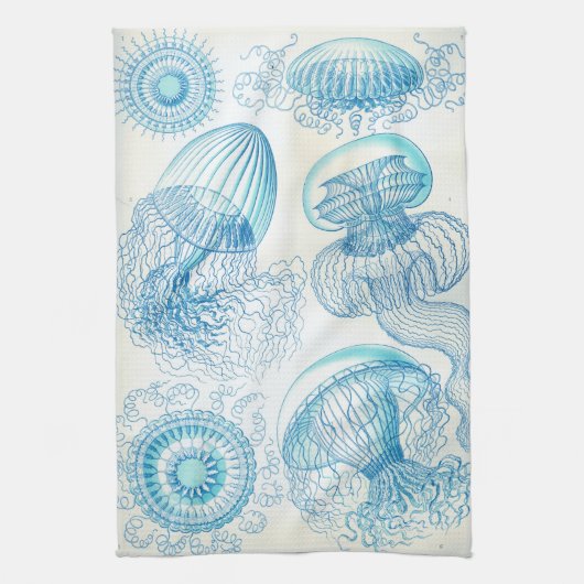 Ernst Haeckel Leptomedusae kwal Theedoek (Verticaal)