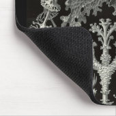 Ernst Haeckel - Lichenes Muismat (Hoek)