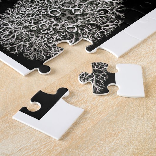 Ernst Haeckel Lichens Legpuzzel (Zijkant)