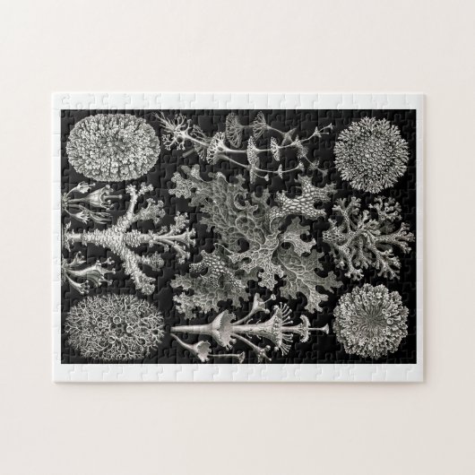 Ernst Haeckel Lichens Legpuzzel (Horizontaal)