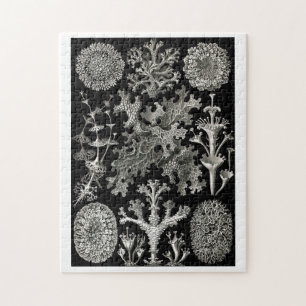Ernst Haeckel Lichens Legpuzzel