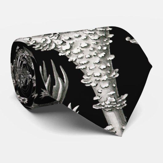 Ernst Haeckel Lichens Stropdas (Opgerold)