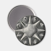 Ernst Haeckel Magneet (Voorkant / Achterkant)