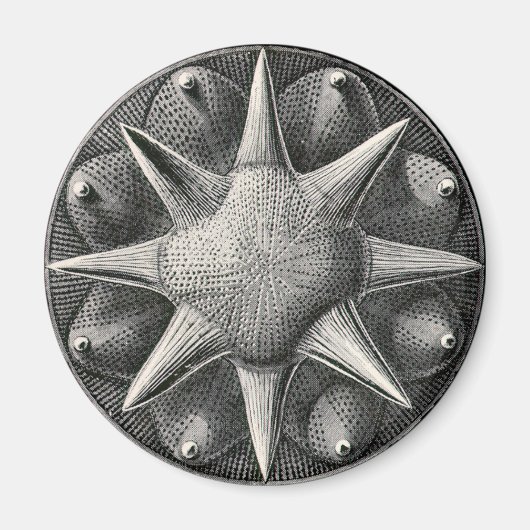 Ernst Haeckel Magneet (Voorkant)