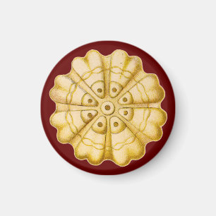 Ernst Haeckel Magneet