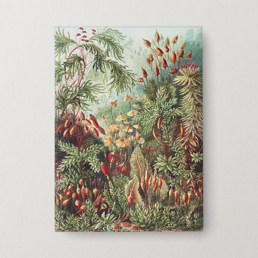 Ernst Haeckel Mos Natuurprint Donkere Academica Button (Voorkant)