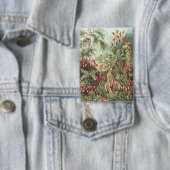 Ernst Haeckel Mos Natuurprint Donkere Academica Button (Insitu)