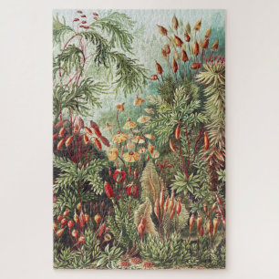 Ernst Haeckel Mos Natuurprint Donkere Academica Legpuzzel