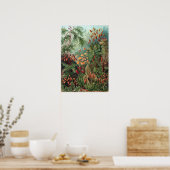 Ernst Haeckel Moss Poster (Keuken)