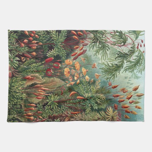  Ernst Haeckel Moss Poster Hoesje-Mate iPhone Theedoek (Horizontaal)