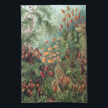Ernst Haeckel Moss Poster Hoesje-Mate iPhone Theedoek<br><div class="desc">Ernst Haeckel Moss</div>