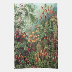 Ernst Haeckel Moss Poster Hoesje-Mate iPhone Theedoek