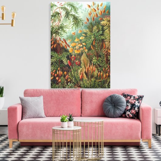  Ernst Haeckel Mosses Canvas Afdruk (Insitu (Woonkamer))