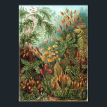 Ernst Haeckel Mosses Poster<br><div class="desc">Dit ontwerp wordt beïnvloed door de illustraties uit 1904 van de "Art Forms of Natuur" van Ernst Haeckel (1834-1919) en met name van Mosses. Ernst Haeckel was een Duitse bioloog,  natuurkundige,  filosoof,  arts,  professor,  marien bioloog,  en kunstenaar die duizenden nieuwe soorten ontdekte,  beschreef en noemde.</div>