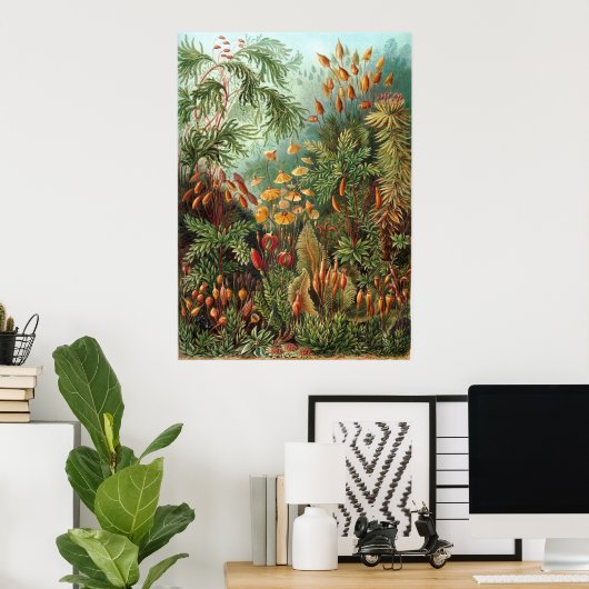  Ernst Haeckel Mosses Poster (Thuiskantoor)
