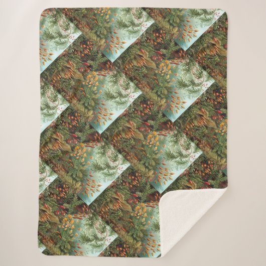  Ernst Haeckel Mosses Sherpa Deken (Voorkant)