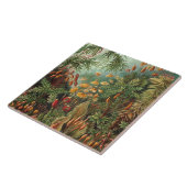  Ernst Haeckel Mosses Tegeltje (Zijkant)