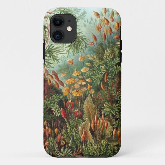 Ernst Haeckel - Muscinae Case-Mate iPhone Case (Achterkant)