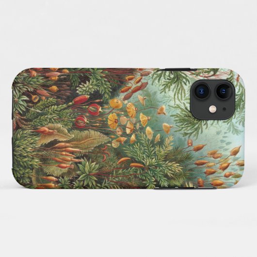Ernst Haeckel - Muscinae Case-Mate iPhone Case (Achterkant (horizontaal))