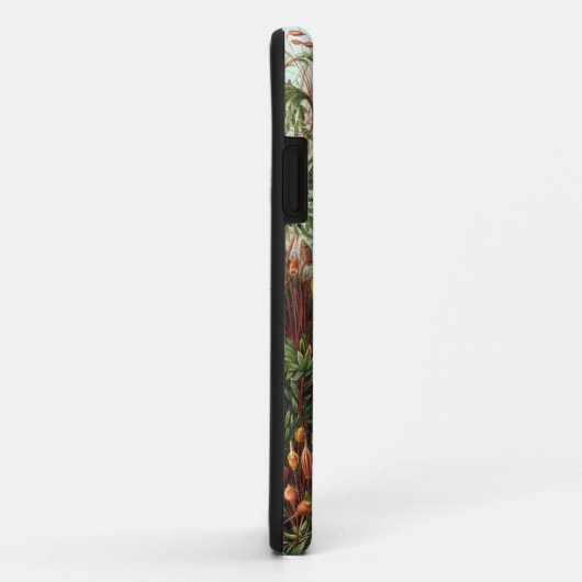 Ernst Haeckel - Muscinae Case-Mate iPhone Case (Achterkant/rechts)