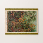 Ernst Haeckel Muscinae  illustratie Legpuzzel (Horizontaal)