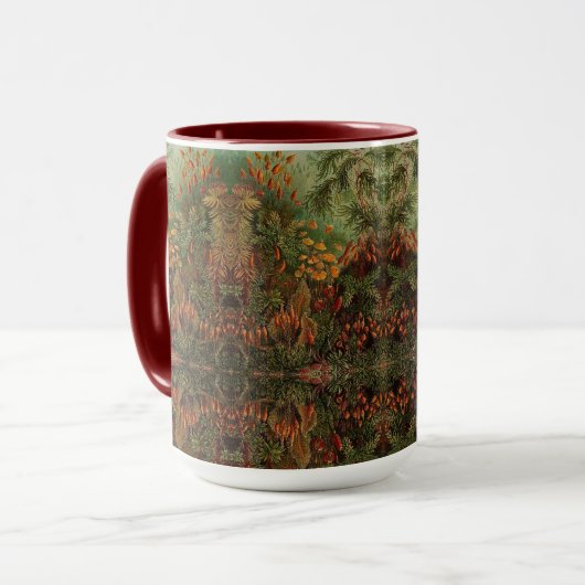 Ernst Haeckel Muscinae  illustratie Mok (Voorkant links)