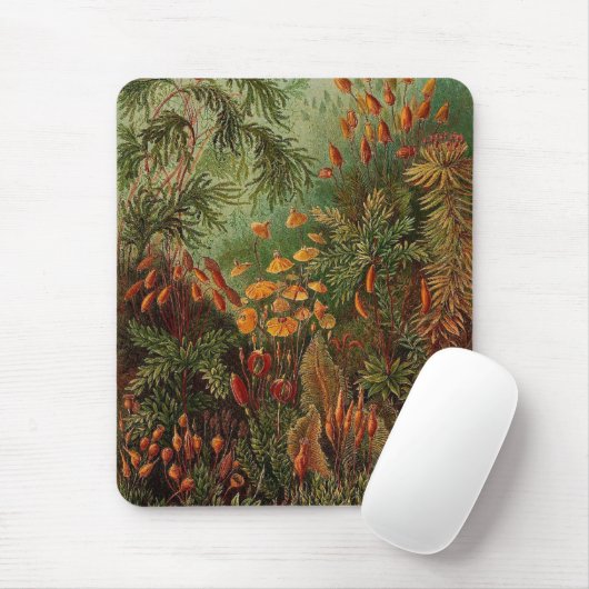 Ernst Haeckel Muscinae  illustratie Muismat (Met muis)