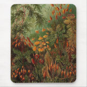 Ernst Haeckel Muscinae  illustratie Muismat (Voorkant)