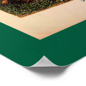 Ernst Haeckel Muscinae  illustratie Poster (Hoek)