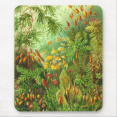 Ernst Haeckel - Muscinae Muismat (Voorkant)