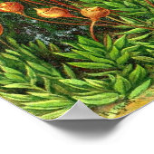 Ernst Haeckel - Muscinae Poster (Hoek)