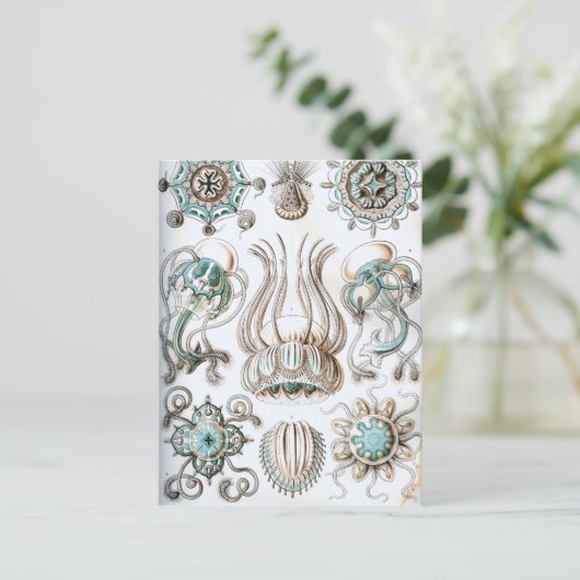 Ernst Haeckel Narcomedusae kwallen! Briefkaart (Staand voorkant)