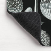 Ernst Haeckel Naturalista Muismat (Hoek)