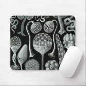 Ernst Haeckel Naturalista Muismat (Met muis)