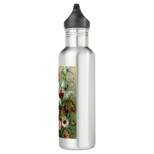 Ernst Haeckel Naturalista Waterfles (Rechts)