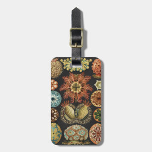 Ernst Haeckel Nautisch Zeeleven Art Collage Bagagelabel